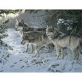 Triumph® Calendars Wildlife Art Calendar