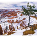 Good Value™ Landscapes of America - Mini Calendar