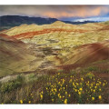 Good Value™ Landscapes of America - Mini Calendar
