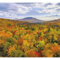 Good Value™ Landscapes of America - Mini Calendar