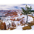 Good Value™ Landscapes of America - Window Calendar