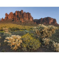 Good Value™ Landscapes of America - Window Calendar