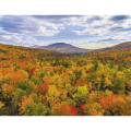 Good Value™ Landscapes of America - Window Calendar