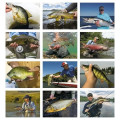 Products Fishing Guide Appointment Calendar - Stapled