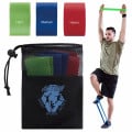 Exercise Resistance Bands Set