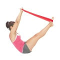 Exercise Resistance Bands Set