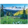 Scenic America® Pocket Calendar