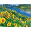 Scenic America® Pocket Calendar