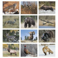 Wildlife Appointment Calendar - Stapled