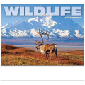 Wildlife Appointment Calendar - Stapled