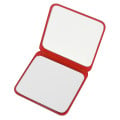 Compact Mirror With Dual Magnification