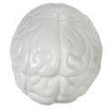 Brain Shape Stress Ball