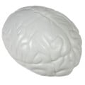 Brain Shape Stress Ball