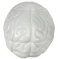 Brain Shape Stress Ball