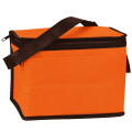 6 Pack Non-Woven Cooler Bag