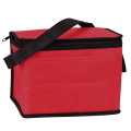 6 Pack Non-Woven Cooler Bag