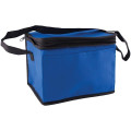 6 Pack Non-Woven Cooler Bag