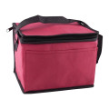 6 Pack Non-Woven Cooler Bag