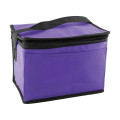 6 Pack Non-Woven Cooler Bag