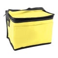 6 Pack Non-Woven Cooler Bag