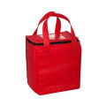 Non-Woven Cubic Lunch Cooler Bag With ID Slot