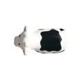 Cow Shape Stress Ball