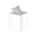 Cube Tissue Box