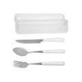 Cutlery Set In Plastic Case