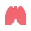 Lungs Shape Stress Ball