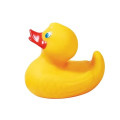 Large Rubber Duck