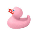 Large Rubber Duck.