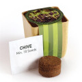 Flower Pot Set with Chive Seeds