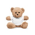7" Plush Bear With T-Shirt