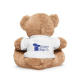 7" Plush Bear With T-Shirt