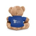 7" Plush Bear With T-Shirt