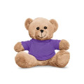 7" Plush Bear With T-Shirt