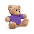 7" Plush Bear With T-Shirt