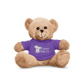 7" Plush Bear With T-Shirt