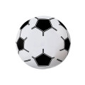 16" Soccer Beach Ball.