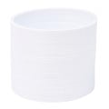 Round Spring Thing Toy