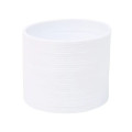 Round Spring Thing Toy