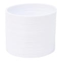 Round Spring Thing Toy