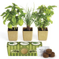 Growpot Eco-Planter Herb 3-Pack