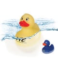 Color Changing Rubber Duck