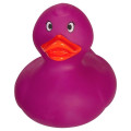 Color Changing Rubber Duck