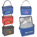 6 Pack Tonal Non-Woven Cooler Bag