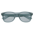 Translucent Malibu Sunglasses