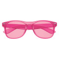 Translucent Malibu Sunglasses