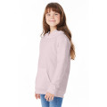 Youth 7.8 oz. EcoSmart® 50/50 Pullover Hooded Sweatshirt