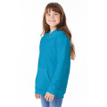 Youth 7.8 oz. EcoSmart® 50/50 Pullover Hooded Sweatshirt